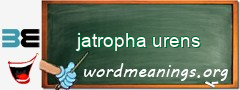 WordMeaning blackboard for jatropha urens